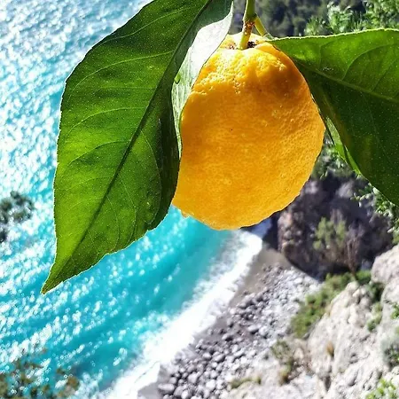 By Marcel בית נופש