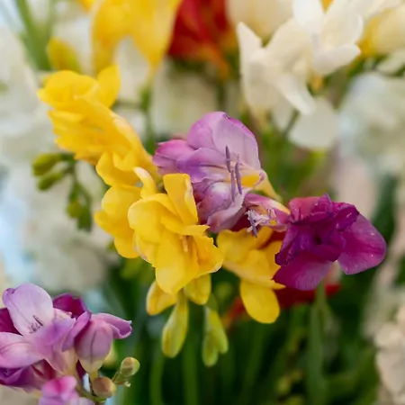 By Marcel Dom wakacyjny